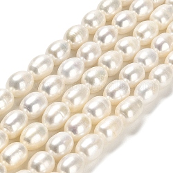 Fili di perle di perle d'acqua dolce coltivate naturali, riso, grado 5 un, bianco floreale, 10.5~13x9~10mm, Foro: 0.5 mm, circa 33pcs/filo, 15.75~15.87 pollice (40~40.3 cm)