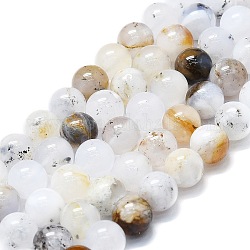 Blanc naturel opale africain perles brins, ronde, 8mm, Trou: 0.8mm, Environ 48~52 pcs/chapelet, 15.35''~16.54'' (39~42 cm)