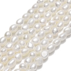 Brins de perles de culture d'eau douce naturelles, deux faces polies, linge, 4~5x4x3.5~4mm, Trou: 0.6mm, Environ 75~76 pcs/chapelet, 14.17'' (36 cm)
