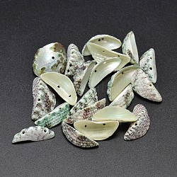 Perles demi-lune en coquillage naturel teint, vert de mer foncé, 17~26x8~15x5~7mm, Trou: 1mm, environ 650 pcs/500 g