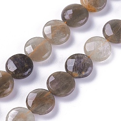 Natural Black Sunstone Beads Strands, Faceted, Flat Round, 12~12.5x4.8~6mm, Hole: 1.2mm, about 31pcs/strand, 14.7 inch(37.5cm)