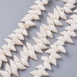 Chapelets de perles en coquille de spirale naturelle, blanc, 18~22x8~12x8~9mm, Trou: 1mm, 15.75 pouce (40 cm)