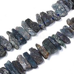 Perles de quartz de cyanite naturelle / cyanite / disthène, pépites, 20~60x5~15x5~15mm, Trou: 1mm, Environ 49 pcs/chapelet, 15.7 pouce