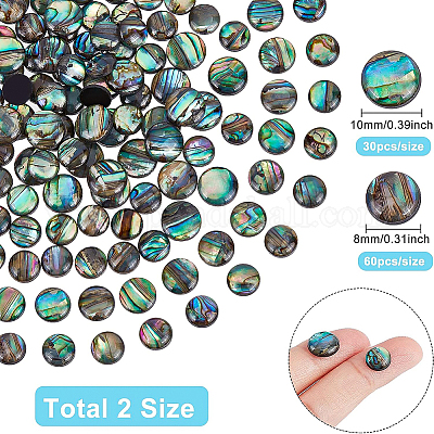 Paua Shell Cabochons&nbsp;SHEL-BC0001-018-1