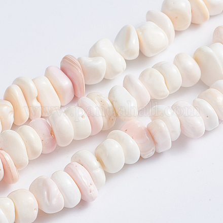 Brins de perles de coquillage rose naturel X-SSHEL-L016-19-1