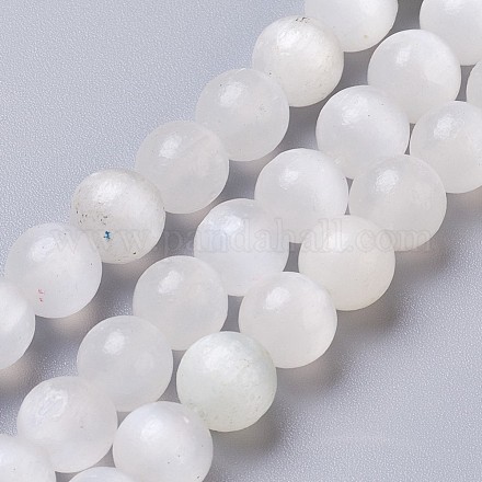 Brins de perles de sélénite naturelles G-I203-C-8mm-1