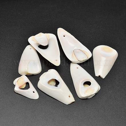 Perles de pépites de coquille naturelle BSHE-O007-76-1