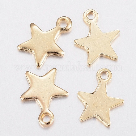 304 Stainless Steel Charms STAS-H436-51-1