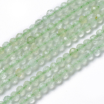 Chapelets de perles en préhnite naturelle G-F596-30-2mm-1