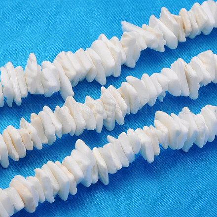 Natural Sea Shell Chips Beads Strands X-BSHE-Q024-02-1