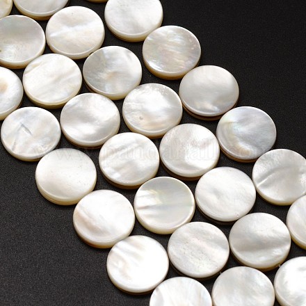 Natural Freshwater Shell Flat Round Bead Strands BSHE-M022-08-1