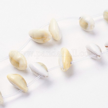 Brins de perles de coquillage cauri naturel BSHE-L036-32A-01-1