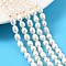 Natural Cultured Freshwater Pearl Beads Strands, Rice, Grade 3A, Old Lace, 5~6mm, Hole: 0.7mm, about 44~49pcs/strand, 13.78~13.98''(35~35.5cm)
