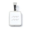 304 Stainless Steel Pendants, with Enamel, Stainless Steel Color, Rectangle with Constellation Charms, Aquarius, 16x11x1.5mm, Hole: 5.5x3mm