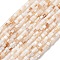 Natural Freshwater Shell Beads Strands, Disc, Heishi Beads, Beige, 3x2mm, Hole: 0.6mm, about 40pcs/strand, 77.95''(198cm)