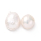 Perlas naturales abalorios de agua dulce cultivadas PEAR-P003-24-1