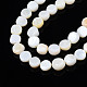 Fili di perle di conchiglia trochid naturale / trochus SHEL-S258-083-A01-3