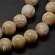 Natural Sea Shell Round Bead Strands X-SSHEL-M013-8mm-02-2