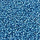 MIYUKI Delica Beads SEED-J020-DB1709-3