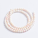 Natural Pink Shell Beads Strands SSHEL-L016-18C-3
