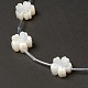 パールシェルビーズの天然な白いシェルマザーオブパール  桃の花  乳白色  13x13x5mm  穴：0.7mm  約10個/連  12.60''（32センチメートル） BSHE-B005-09-3