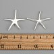 Brass Starfish/Sea Stars Pendants KK-BB11654-3