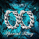 SHEGRACE 925 Sterling Silver Hoop Earrings JE713A-4