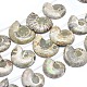 Fili di perline fossili di ammonite naturale / conchiglia G-I213-33-1