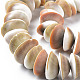 Chapelets de perles de coquillage naturel SSHEL-N034-101-3