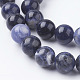 Natural Sodalite Beads Strands X-G-E110-10mm-3-3