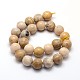 Natural Fossil Coral Round Bead Strands G-L312-07-3