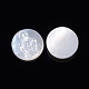 Cabuchones de conchas blancas naturales SSHEL-D083-13-2