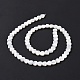 Brins de perles de coquillages naturels de troca SSHEL-H070-06A-4