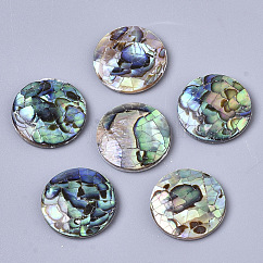 Concha de abulón natural / Paua Concha Cabuchones., Con cáscara de agua dulce, plano y redondo, colorido, 16x3mm