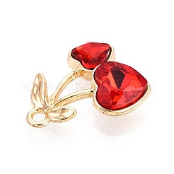 Legierung rhinestone-anhänger&nbsp;X-PALLOY-T092-24G-04