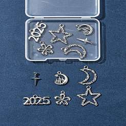 12 pièces 6 styles pendentifs en alliage&nbsp;FIND-FS0003-38P