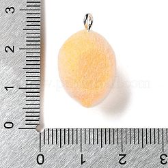 Anhänger aus undurchsichtigem Harz mit Fruchtmotiven&nbsp;RESI-D017-04C-P