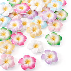28 Stück 7 Farben Plumeria Blume undurchsichtige Harz Cabochons&nbsp;CRES-TA0001-75