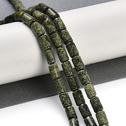 Natürliche Serpentin / grüne Spitze Stein Perlen Stränge&nbsp;G-H064-B01-01