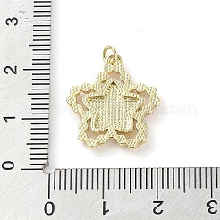 Messing Anhänger & Charms&nbsp;KK-Q813-07D-G