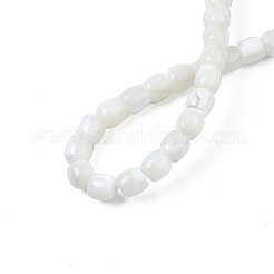 Natürliche Trochidschale / Trochusschalenperlenstränge&nbsp;X-SSHEL-N034-121-B01