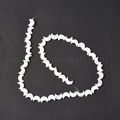 Fili di perle di conchiglia trochid naturale / trochus&nbsp;SSHEL-N032-25A