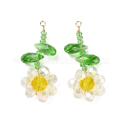 Anhänger aus Glasperlen&nbsp;GLAA-C028-06E