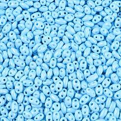 Backlack Glasperlen&nbsp;SEED-T006-03I