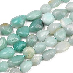 Amazonite naturali pepite perline fili&nbsp;X-G-J335-31A