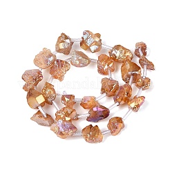 Perles d'améthyste naturelle brute&nbsp;G-Q610-05F