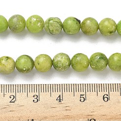 Brins de perles de dolomite naturelles teintes&nbsp;G-D337-8mm-D04