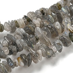 Natur Labradorit Chip Bead Stränge&nbsp;G-M205-13