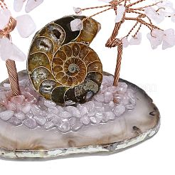 Decorazioni espositive in quarzo rosa naturale Pachira Glabra&nbsp;DJEW-K025-05A