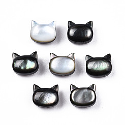 Natürliche schwarze Lippe Muschelperlen&nbsp;SSHEL-N032-47